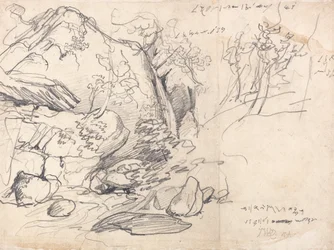 Studio di una montagna con alberi